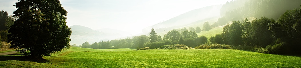 ISO 14001 2015 Cevre Yonetim Sistemi